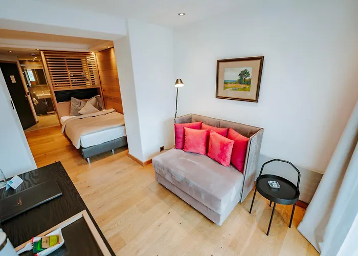 伊甸园酒店 采尔马特