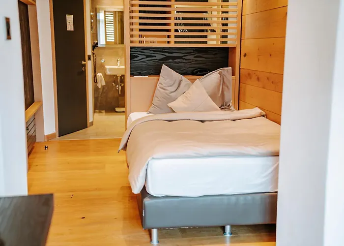 伊甸园酒店 4* 采尔马特